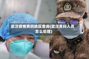 武汉疫情黄码地区查询(武汉黄码人员怎么处理)