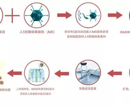 中国疫情最新数据〃中国一针没打疫苗人数占比