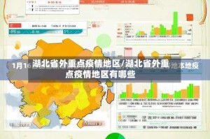 湖北省外重点疫情地区/湖北省外重点疫情地区有哪些