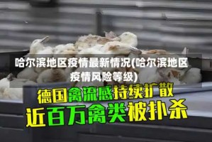 哈尔滨地区疫情最新情况(哈尔滨地区疫情风险等级)