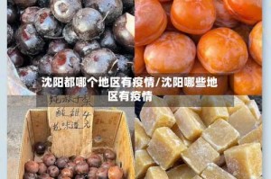 沈阳都哪个地区有疫情/沈阳哪些地区有疫情