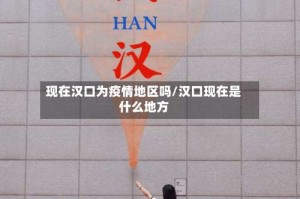 现在汉口为疫情地区吗/汉口现在是什么地方