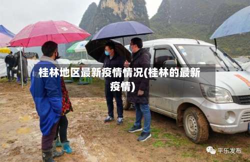 桂林地区最新疫情情况(桂林的最新疫情)-第3张图片