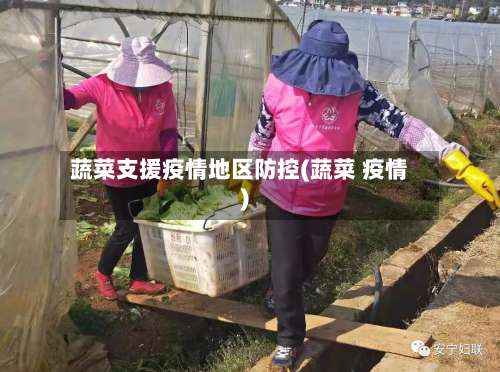 蔬菜支援疫情地区防控(蔬菜 疫情)-第3张图片