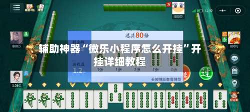 辅助神器“微乐小程序怎么开挂”开挂详细教程-第1张图片