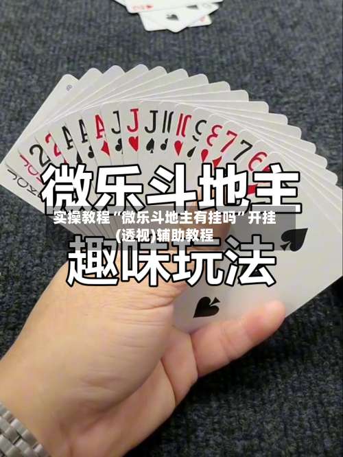 实操教程“微乐斗地主有挂吗”开挂(透视)辅助教程-第1张图片