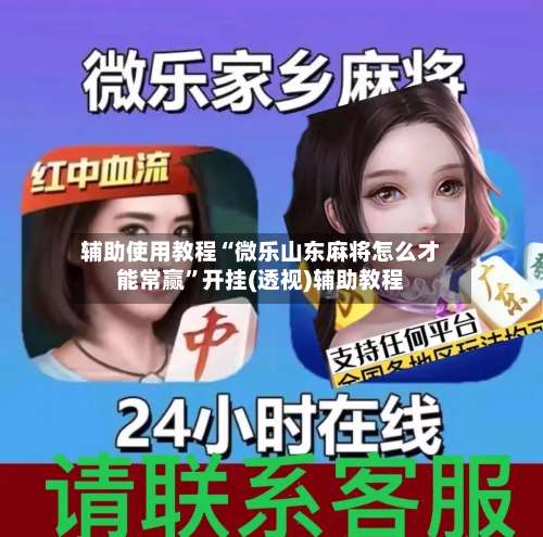 辅助使用教程“微乐山东麻将怎么才能常赢”开挂(透视)辅助教程-第1张图片