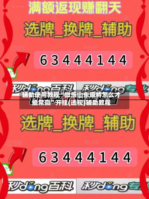 辅助使用教程“微乐山东麻将怎么才能常赢”开挂(透视)辅助教程-第3张图片