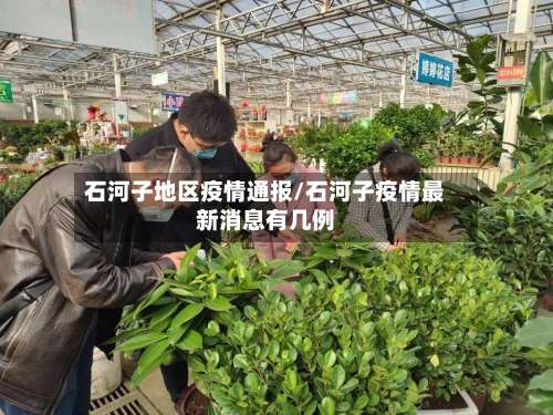 石河子地区疫情通报/石河子疫情最新消息有几例-第2张图片