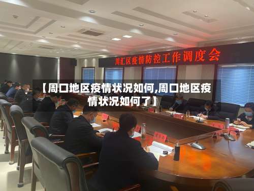 【周口地区疫情状况如何,周口地区疫情状况如何了】-第3张图片