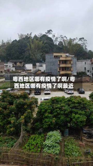 粤西地区哪有疫情了啊/粤西地区哪有疫情了啊最近-第2张图片