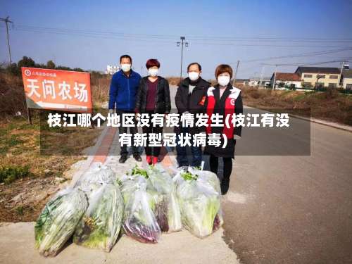 枝江哪个地区没有疫情发生(枝江有没有新型冠状病毒)-第1张图片