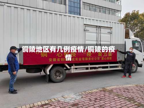 铜陵地区有几例疫情/铜陵的疫情-第3张图片