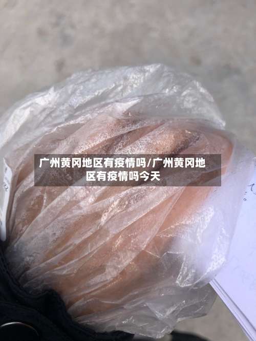 广州黄冈地区有疫情吗/广州黄冈地区有疫情吗今天-第2张图片