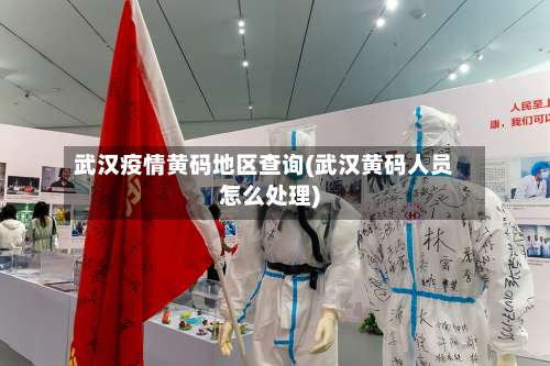 武汉疫情黄码地区查询(武汉黄码人员怎么处理)-第3张图片
