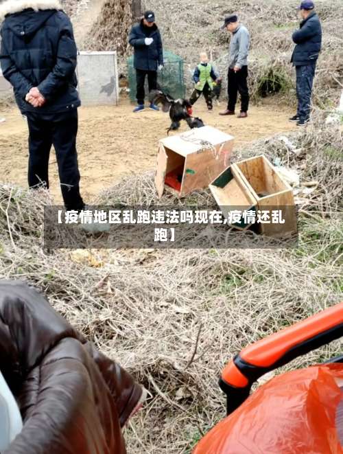 【疫情地区乱跑违法吗现在,疫情还乱跑】-第2张图片