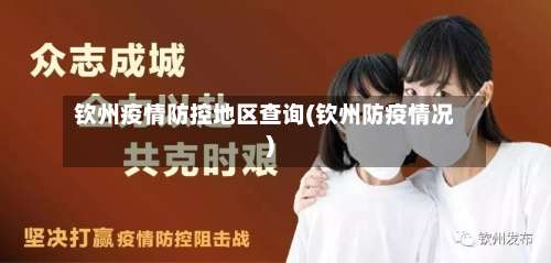 钦州疫情防控地区查询(钦州防疫情况)-第2张图片