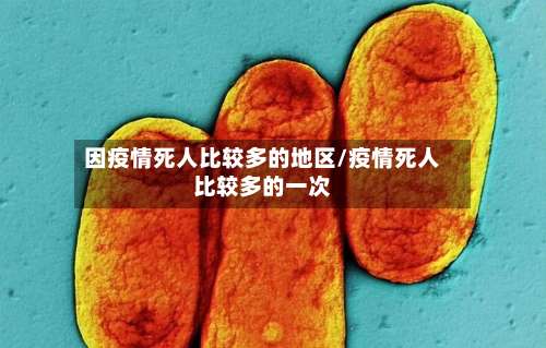 因疫情死人比较多的地区/疫情死人比较多的一次-第2张图片