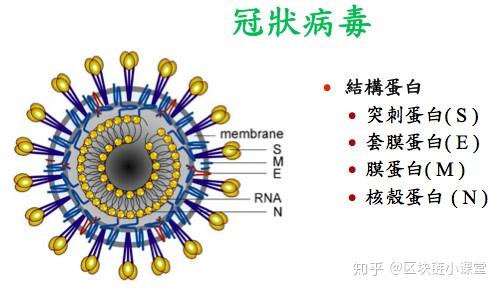 “美国新型冠状病毒最新消息	” 美国新型冠状最新情况？-第3张图片